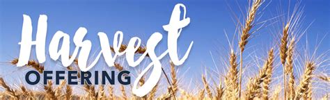 Harvest Festivals: The Importance of the Harvest Offering